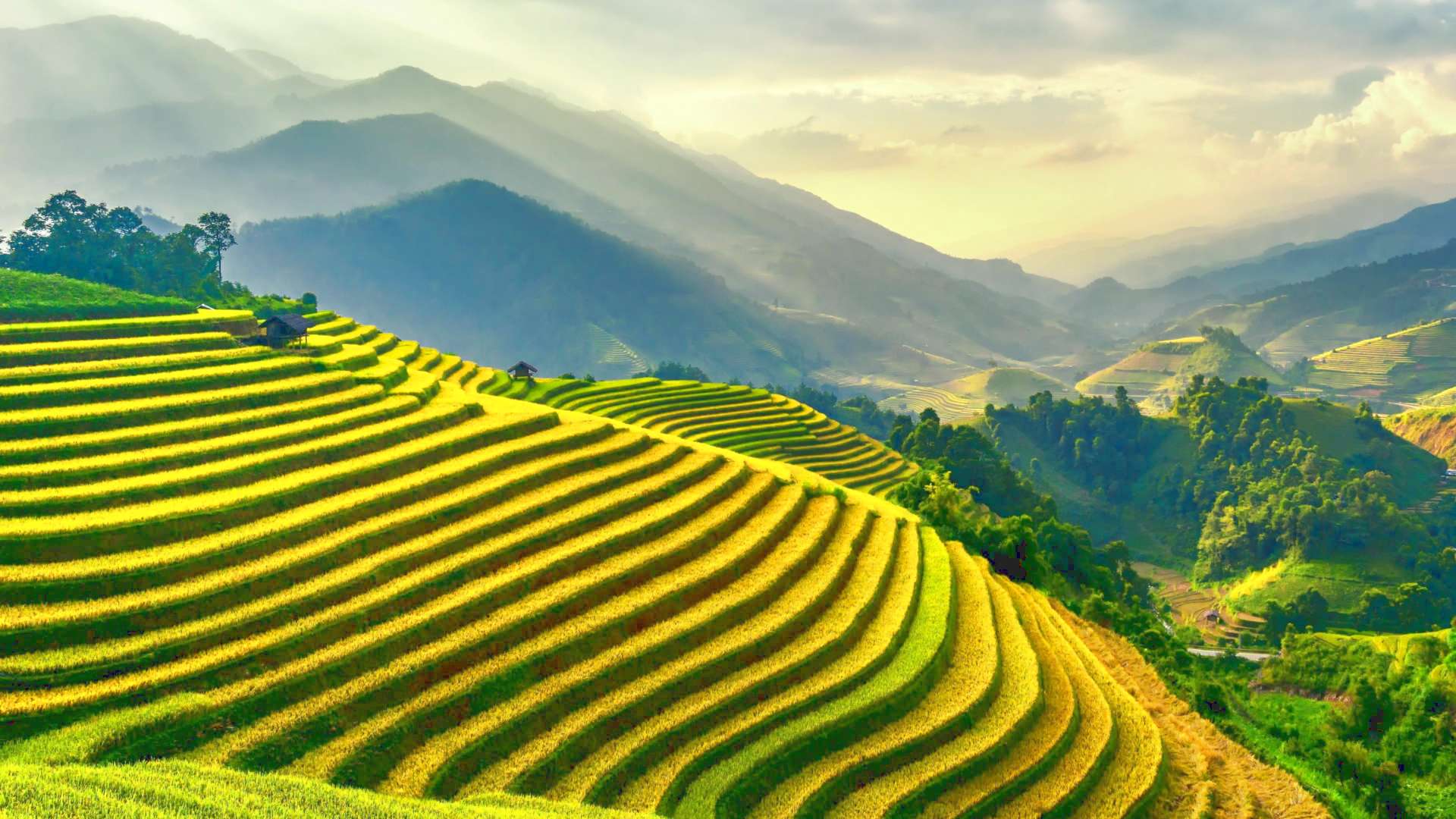 Photo by thanhhoa tran (pexels.com)